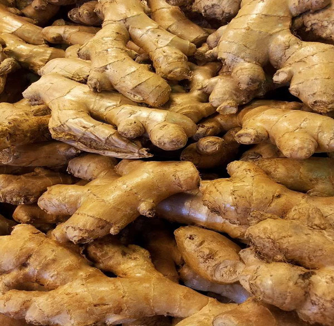 Ginger Image