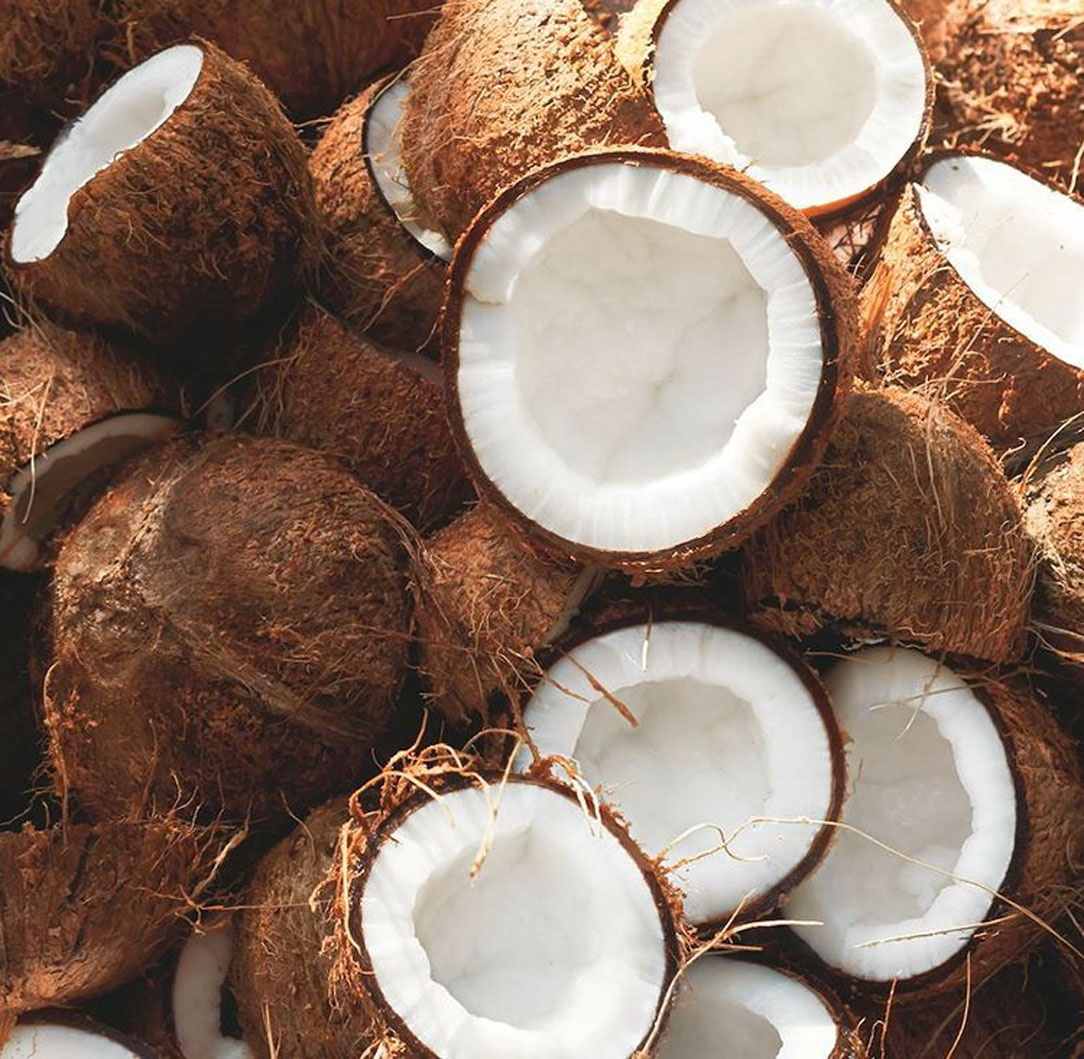 Coconut product Image