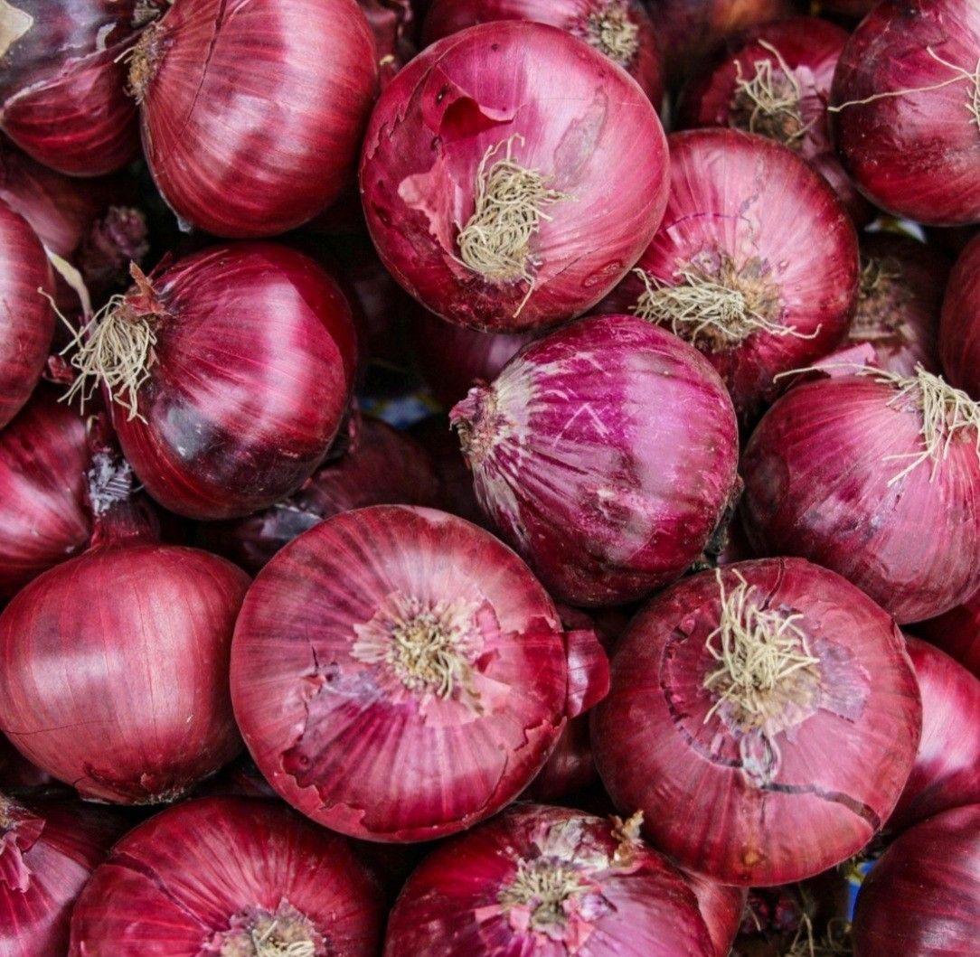 onion Image